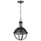 Nuvo Lincoln 1-Light E26 Pendant, E26 60W, Matte Black, Clear Seeded 60/7674 - alternate 1